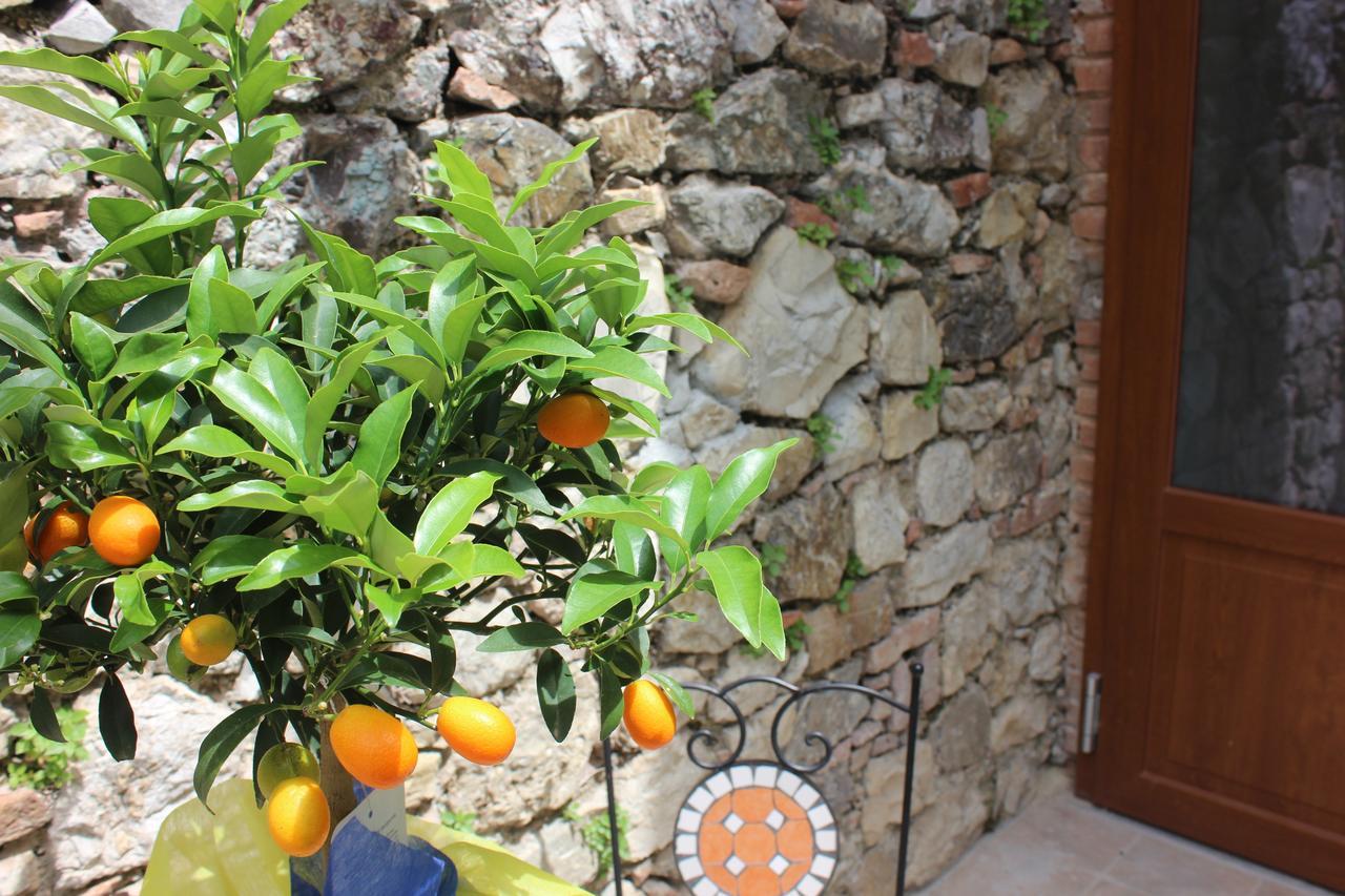 B&B Canneto Monteverdi Marittimo Exteriör bild