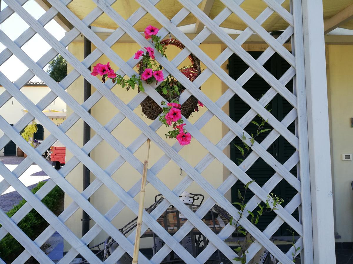 B&B Canneto Monteverdi Marittimo Exteriör bild